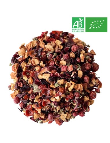 Organic Red Fruits Infusion Wholesale Infusion Supplier of Tea