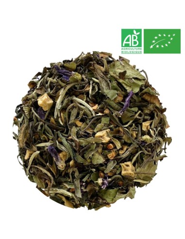 Organic Fresh White Tea - Wholesale White Tea - Supplier of Tea