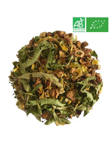 Organic Evening Herbal Tea - Wholesale Herbal Tea Sleep and Evening - Supplier of Tea