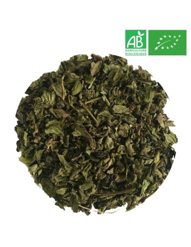 Organic Premium Mint Green Tea - Wholesale Green Tea - Supplier of Tea