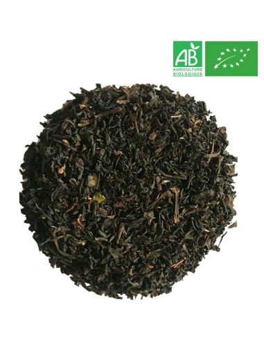 Organic Jinjing Black Tea - Wholesale Black Tea - Supplier of Tea