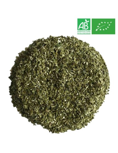 Organic Green Mate - Yerba Mate - Wholesale Mate - Supplier of Tea