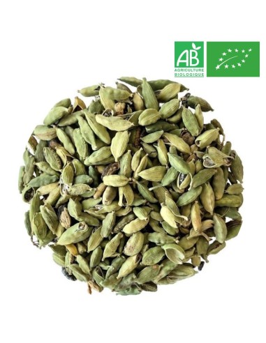Organic Cardamom - Wholesale Plant and Herb - Supplier of Tea