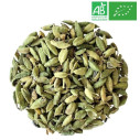 Organic Cardamom - Wholesale Plant and Herb - Supplier of Tea
