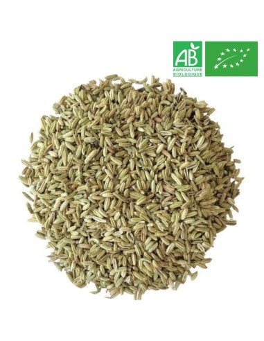Organic Fennel - Wholesale Plant and Herb - Supplier of Tea