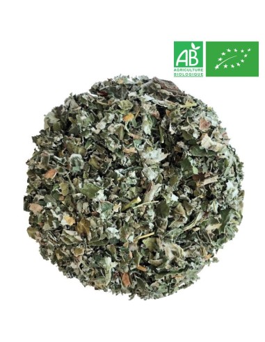 Organic Raspberry Leaves - Wholesale Plant and Herb - Supplier of Tea