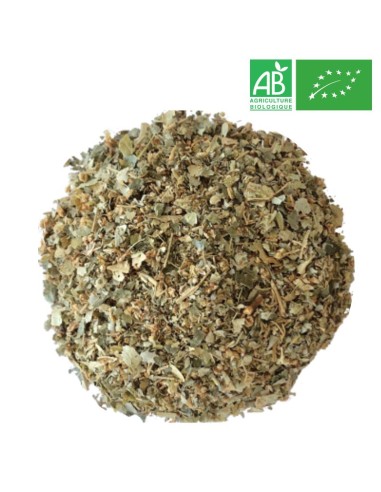 Organic Linden - Wholesale plant and herb - Supplier of Tea
