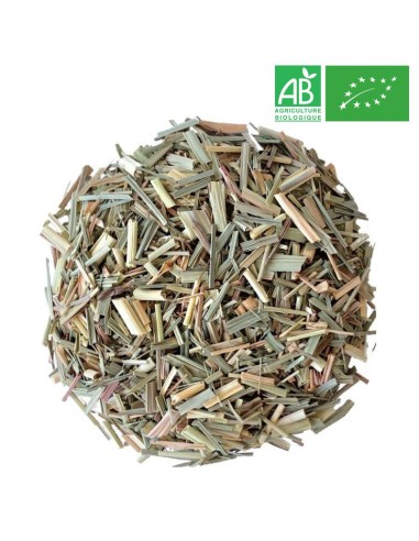 Organic Lemongrass - Wholesale Plant and Herb - Supplier of Tea