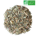 Organic Lemongrass - Wholesale Plant and Herb - Supplier of Tea