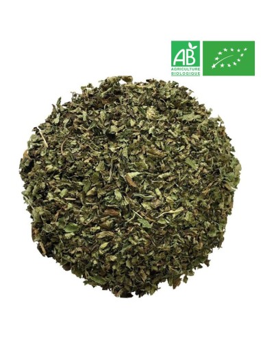 Organic Lemon balm - Wholesale Plant and Herb - Supplier of Tea