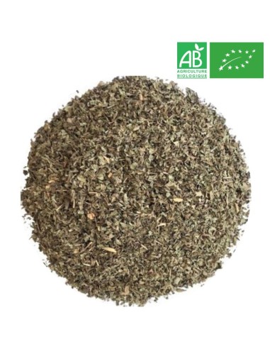 Organic Peppermint - Wholesale Plant and Herb - Supplier of Tea