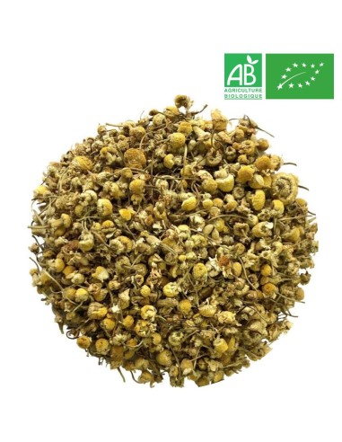 Organic Chamomile - Wholesale Plant and Herb - Supplier of Tea