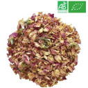 Organic Rose - Wholesale flower plant and herb - Supplier of Tea