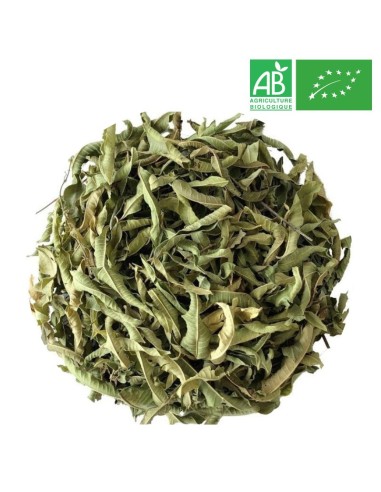 Organic Verbena - Wholesale Plant and Herb - Supplier of Tea