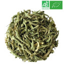 Organic Verbena - Wholesale Plant and Herb - Supplier of Tea