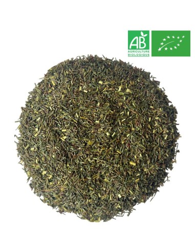 Organic Green Rooibos - Wholesale Rooibos - Supplier of Tea