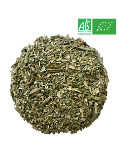 Organic Olive Leaves 1Kg - Supplier of Tea - Herb and plant