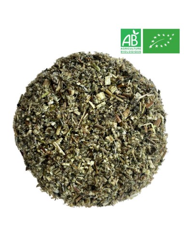Organic Wormwood 1kg - Supplier of Tea - Herb and Plant
