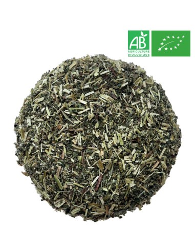 Organic Meadowsweet 1Kg - Supplier of Tea - Herb and Plant