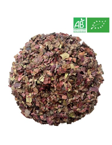 Organic Red Vine 1kg - Supplier of Tea - Herb and Plant