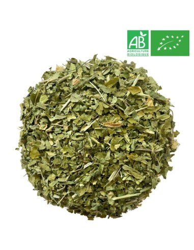Passionflower Organic 1kg - Supplier of Tea - Herb and Plant