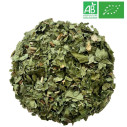 Organic Blackcurrant Leaves 1Kg - Supplier of Tea - Herb and Plant