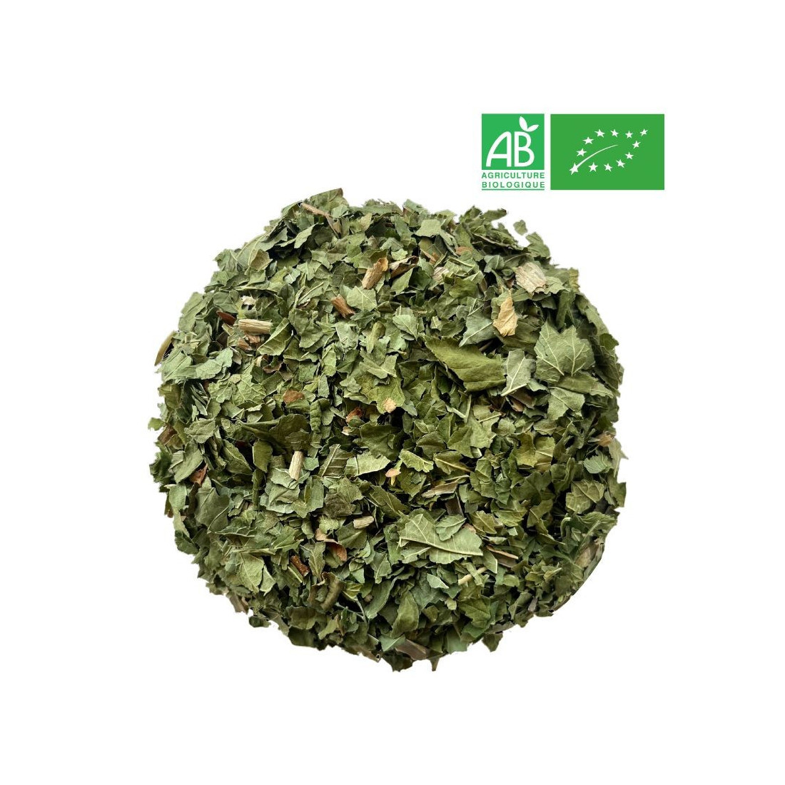 Organic Blackcurrant Leaves 1Kg - Supplier of Tea - Herb and Plant