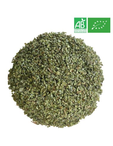 Organic Marjoram 1Kg - Supplier of Tea - Herb and Plant