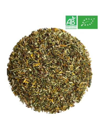 Organic St John's Wort 1Kg - Supplier of Tea - Herb and Plant