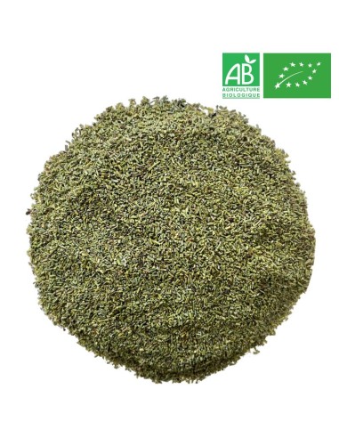 Organic Rosemary 1Kg - Supplier of Tea - Herb and Plant