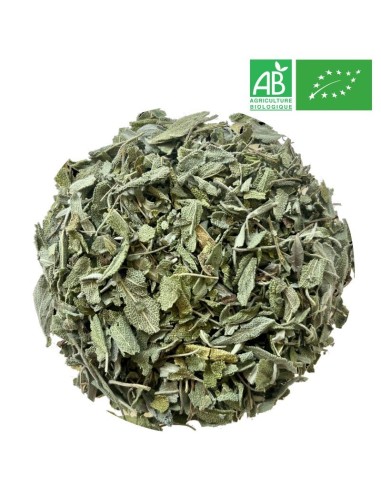 Organic Sage in Bulk