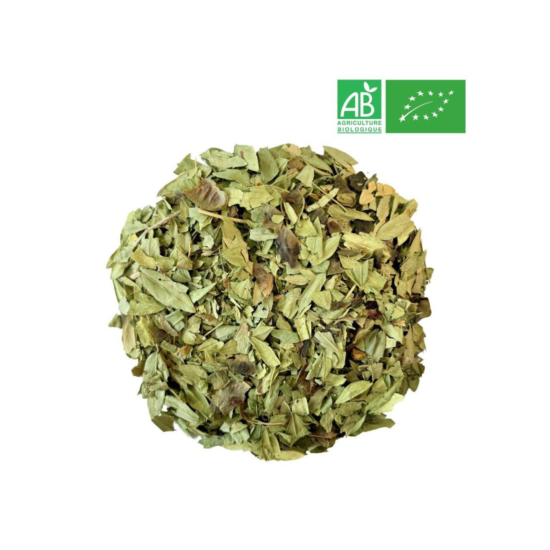 Organic Senna Leaf 1Kg - Supplier of Tea - Herb and Plant