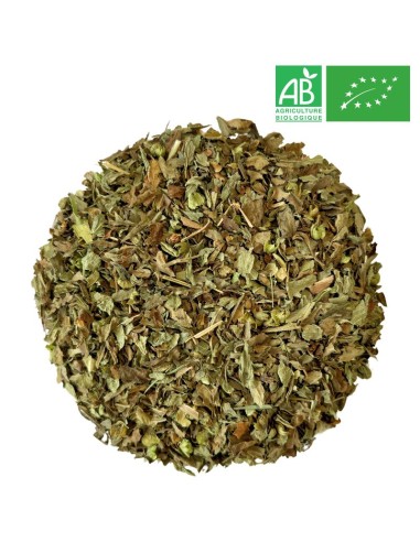 Organic Basil - Broken leaf - Wholesale - Herbs and Plants - Supplieroftea.com