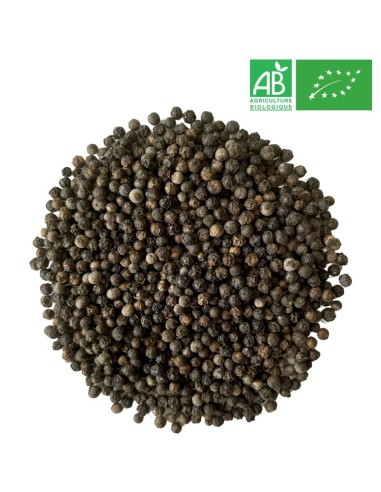 Organic Black Pepper - Whole seed - Wholesale - Herbs and Plants - Supplieroftea.com