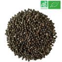 Organic Black Pepper - Whole seed - Wholesale - Herbs and Plants - Supplieroftea.com
