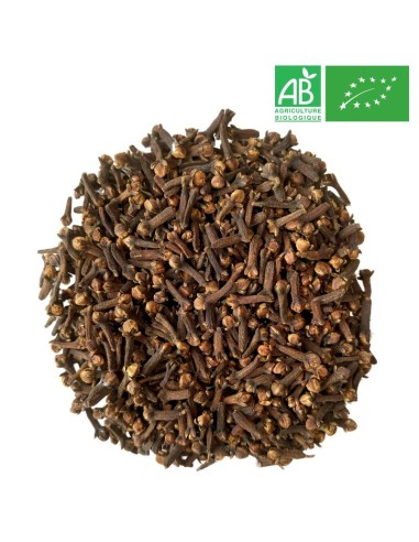 Organic Cloves - Whole - Wholesale - Herbs and Plants - Supplieroftea.com