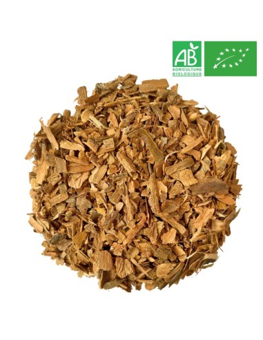 Supplier Cinnamon Bark - Herb and Plant - Supplier of tea