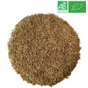 Supplier - Caraway - Whole Fruit _ Wholesale - Supplier of tea