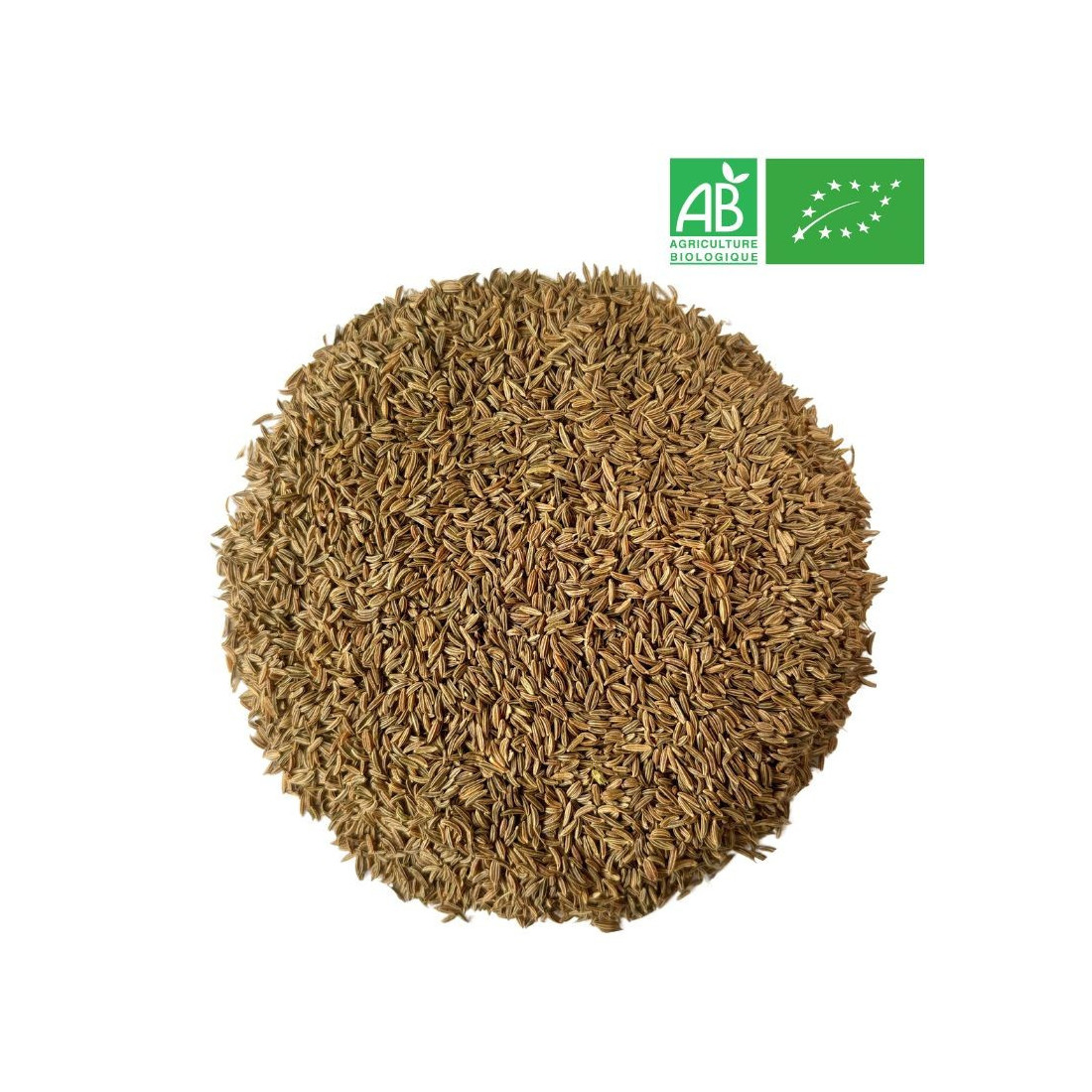 Supplier - Caraway - Whole Fruit _ Wholesale - Supplier of tea