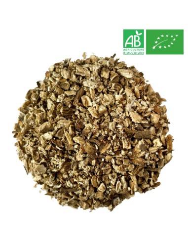 Supplier - Burdock - Root cut - Wholesale - Supplier of tea