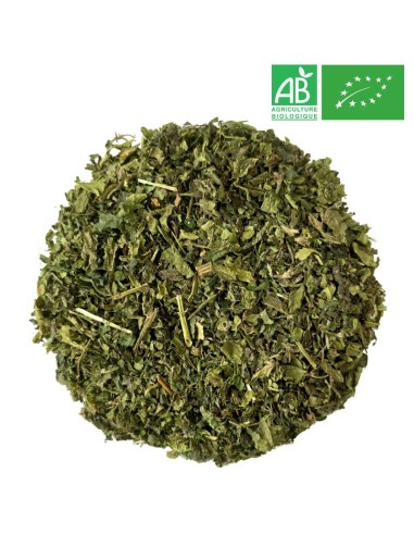 Wholesale - Organic Nettle - Leaf - Supplier of Herb and Plant - Supplieroftea.com