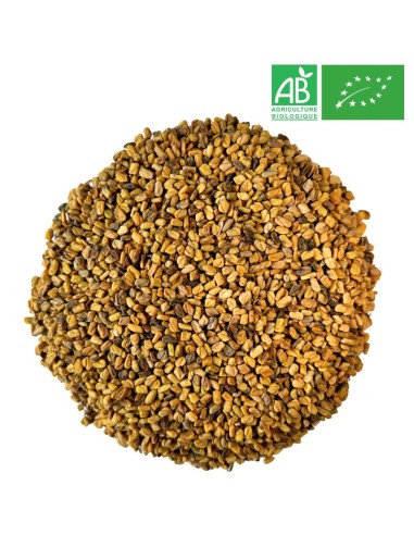 Wholesale - Organic Fenugreek - Whole seed - Supplier of Herb and Plant - Supplieroftea.com