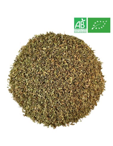 Wholesale - Organic Thyme - Leaf - Herb and Plant - Supplier of tea