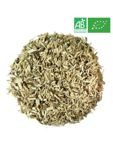 Herbs and Plants - Wholesale - Siberian Ginseng Organic