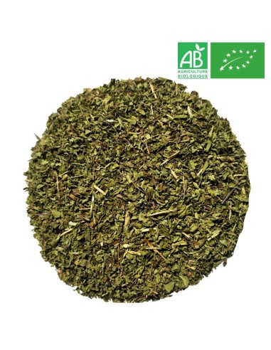 Supplier - Oregano Bio - Whole leaf - Herboristerie - Supplieroftea.com