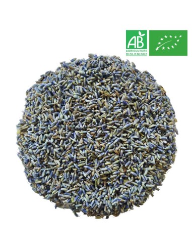 Organic Lavender - Flower - Wholesaler - Herbalist - Supplieroftea.com