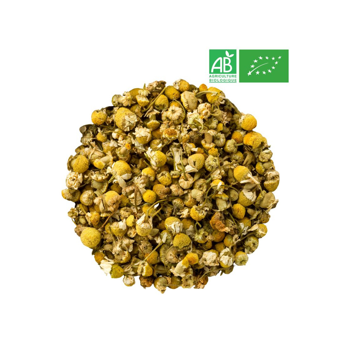 Organic Chamomille  Wholesale Herbs and plant Organic