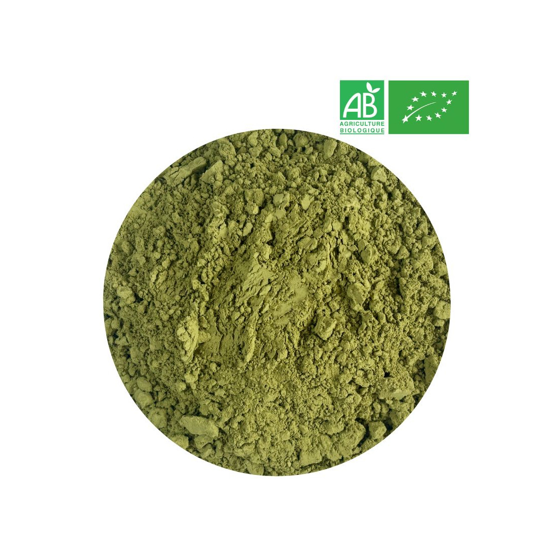 Cooking Matcha in bulk - Wholesaler Organic Matcha Tea