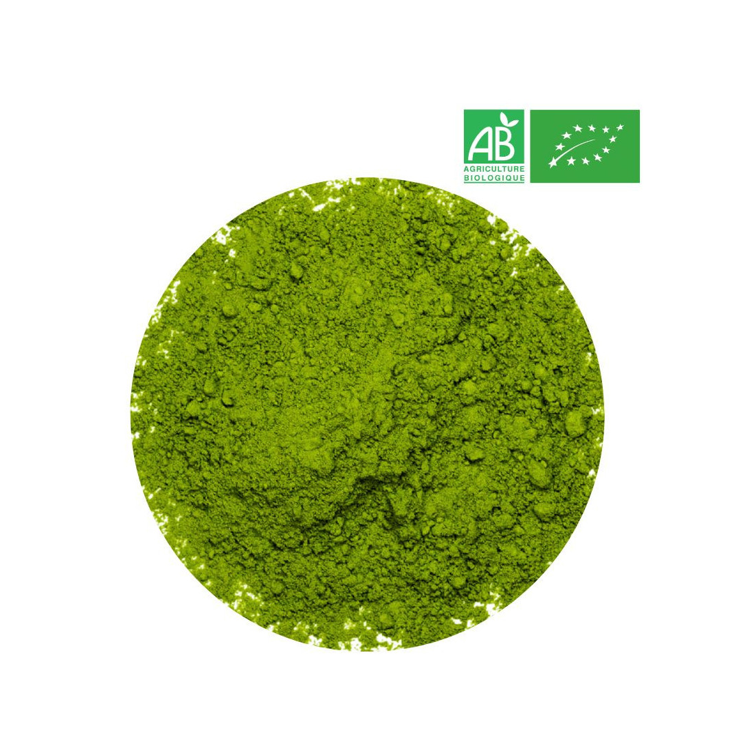 Japan Matcha in bulk - Wholesaler Organic Matcha Tea