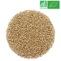 Coriander Seeds in Bulk - Organic Herbalism Wholesaler